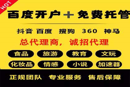 竞价广告的投放策略调整：基于数据反馈的实战案例